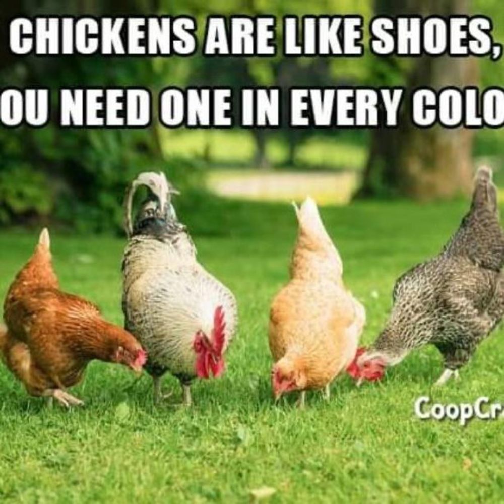 Meet your Posher, Gemma